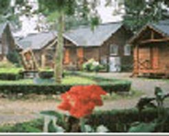 台湾埔里天气 台湾埔里天气