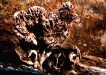 阳泉石莲花天气 阳泉石莲花天气